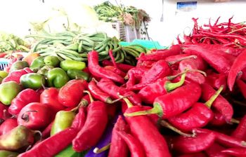 Harga Cabai Rawit Merah Semakin Pedas