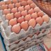 Harga Telur Ayam di KBB Terus Naik, Ini Penyebabnya