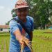 Belasan Hektare Sawah di Cipatat Terancam Gagal Tanam