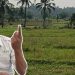 Irigasi Rusak Parah, Pertanian di Cipatat Terancam Lumpuh