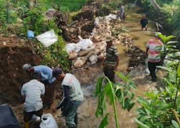 Minim Perhatian Pemerintah, Petani Perbaiki Irigasi D.I Rajamandala dengan Swadaya