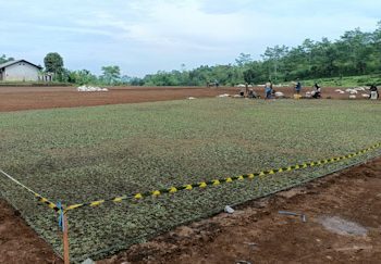 Pemdes Ciptagumati Bangun Stadion Cipta Madya Berstandar Nasional PSSI