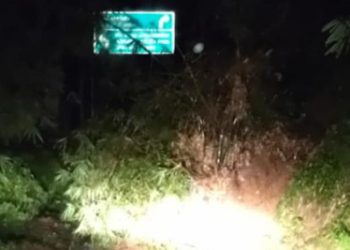 Longsor Tutup Akses Jalan Kabupaten di Cipatat, Kendaraan Roda Empat Tak Bisa Melintas