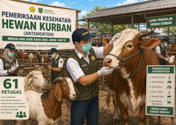 Dispernakan KBB Terjunkan 61 Petugas Periksa Hewan Kurban Jelang Idul Adha