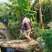 Petani Tambal Irigasi Bocor Secara Swadaya, 30 Hektare Sawah Terancam Kekeringan