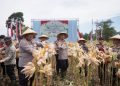 Program penanaman jagung yang digagas Polres Cimahi mulai menunjukkan hasil. Hingga Juni 2026, sebanyak 377,5 ton jagung berhasil dipanen di wilayah Kabupaten Bandung Barat. Foto : Humas Polres Cimahi