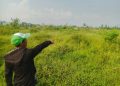 Petani di Kecamatan Cipatat menunjukkan lahan persawahan yang telah mati dan tidak dapat ditanami padi selama puluhan tahun. Foto:BBPOS/Kamil