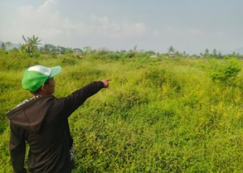 13 Tahun Irigasi Rusak, Puluhan Hektare Sawah di Cipatat Mati Perlahan