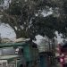 Viral Hujan Kapur di Cipatat, DLH KBB Ungkap Penyebabnya